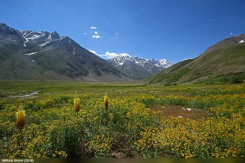 Langar, Ghizer, Gilgit-Baltistan, Pakistan
