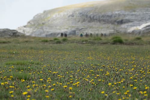 Hiking in the Central Pyrenees