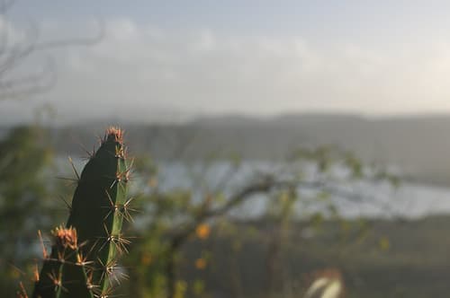 Martinique - Mars Martinique — photo de Gwen Fran
