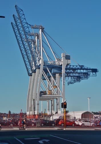 Noell Cranes