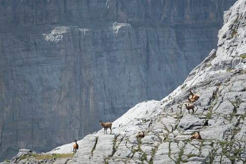 Hiking in the Central Pyrenees