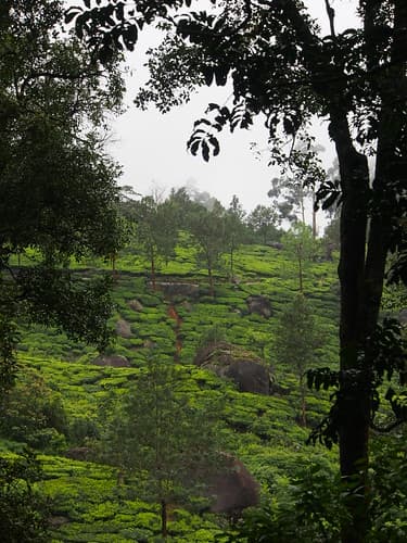 Munar, Inde
