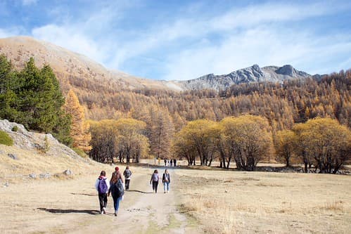 Allos trail