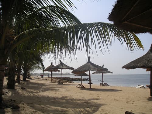 Saly