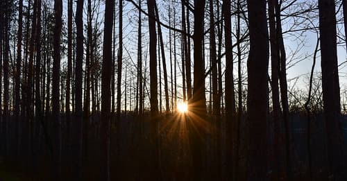 Sun Rise