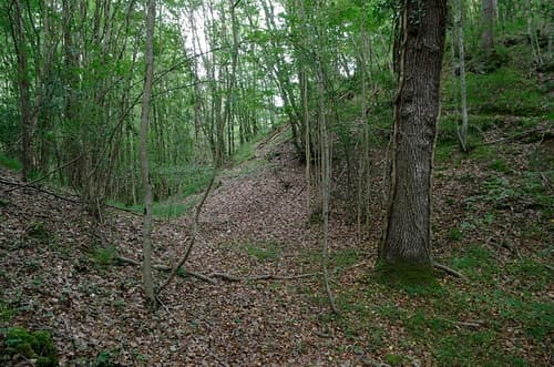 Vievy-le-Rayé (Loir-et-Cher)