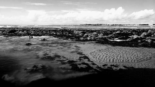 MARÉE BASSE