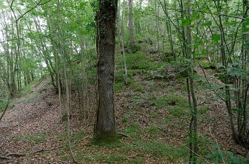 Vievy-le-Rayé (Loir-et-Cher)