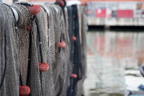 At the Fishing Port