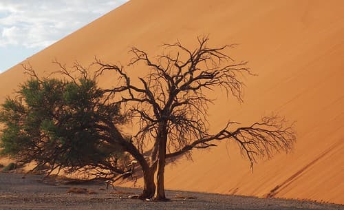 Namibia 2018-44