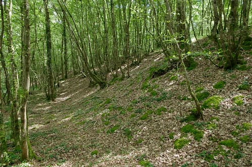 Vievy-le-Rayé (Loir-et-Cher)