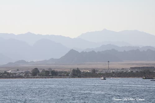 Sur la mer rouge, Sharm el Sheikh, Egypte