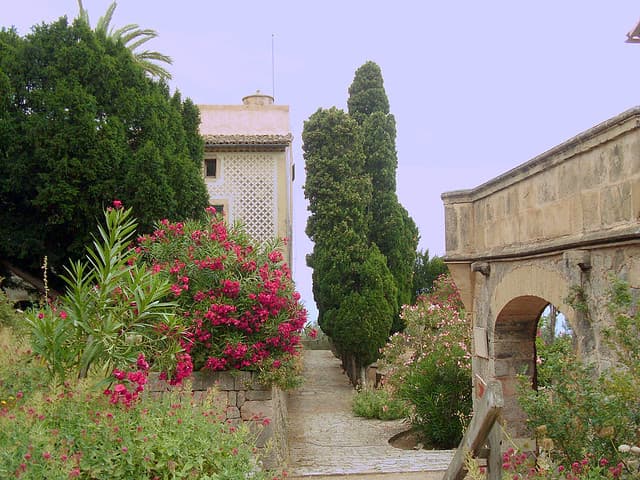 promenade dans barcelonne