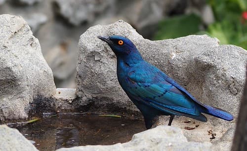 Namibia 2018-58