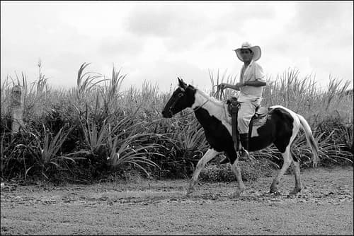 Cuba