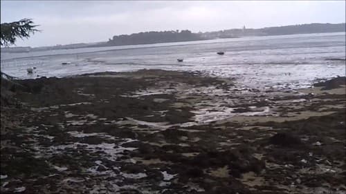 ️eXploration 14 🌟Dinard Beach 🌌City/Nature