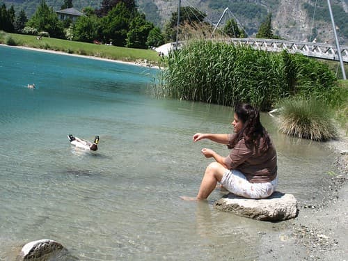 Gina feeds the ducks, Relais du Saint-Bernard, Martigny, Switzerland