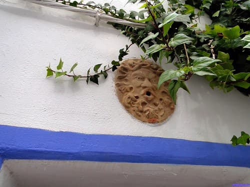 Ibiza