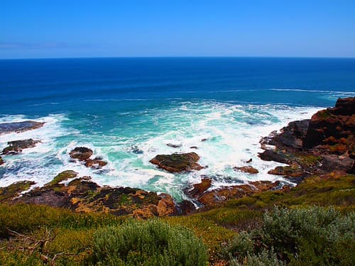 Cape Schanck Mornington Peninsula (Australia 2010)