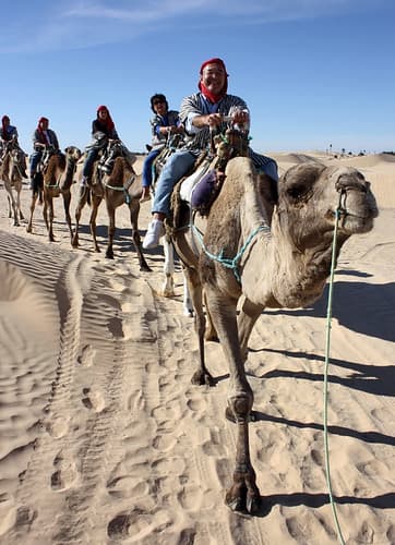 110401 Diplomats discover charm of Tunisian Sahara 02 | دبلوماسيون يكتشفون سحر الصحراء التونسية | Les diplomates découvrent le charme du Sahara tunisien