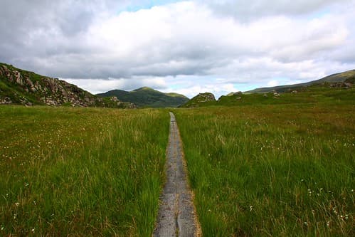 Kerry Trail - Killarney National Park 55