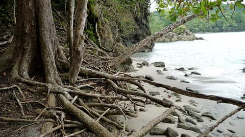Manuel Antonio , Costa Rica
