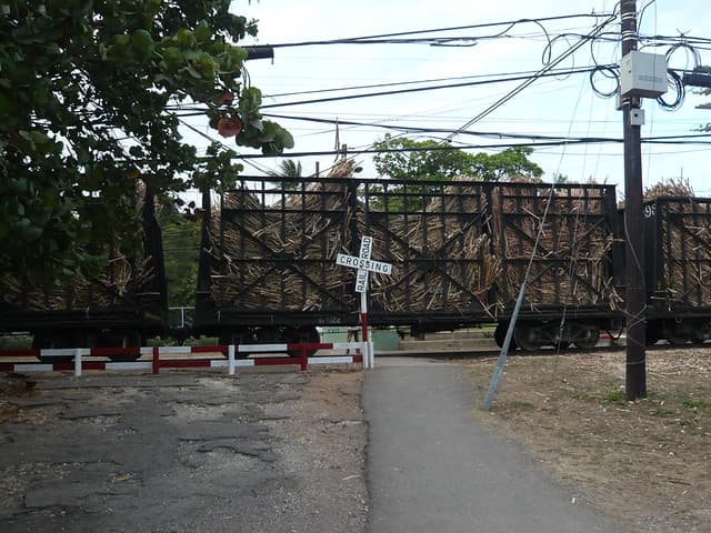 Voyage Rép. Dom.