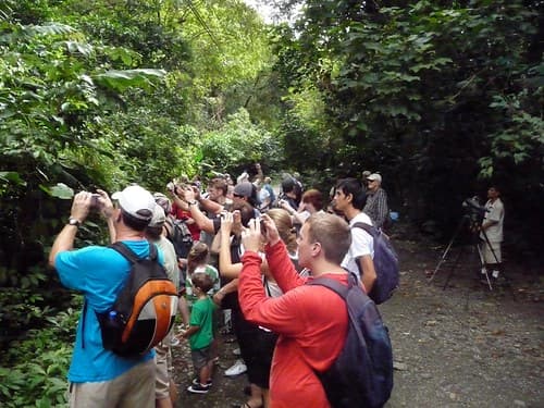 Manuel Antonio , Costa Rica