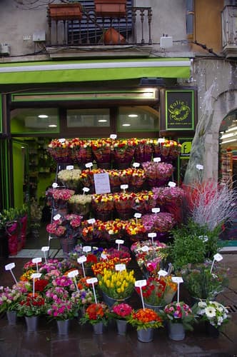 Florist - Grenoble, France