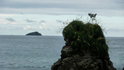 Manuel Antonio , Costa Rica