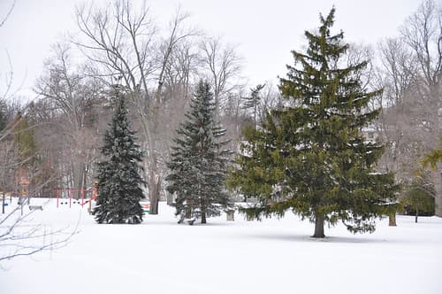 Spingbank Park,   London, Ontario