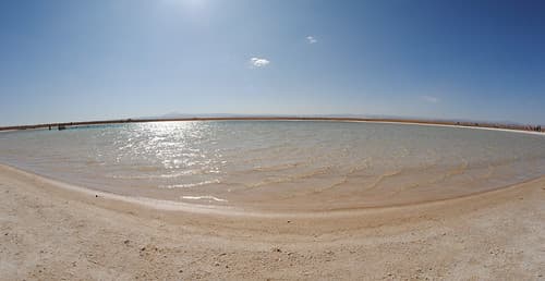 Laguna Cejar - Desierto de Atacama, Chile