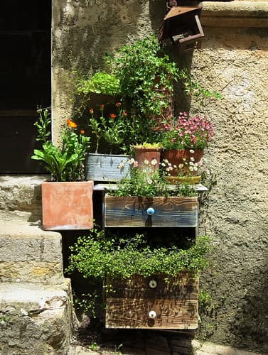 An old chest used as a stepside planter, Tourtour, Var, Provence, France