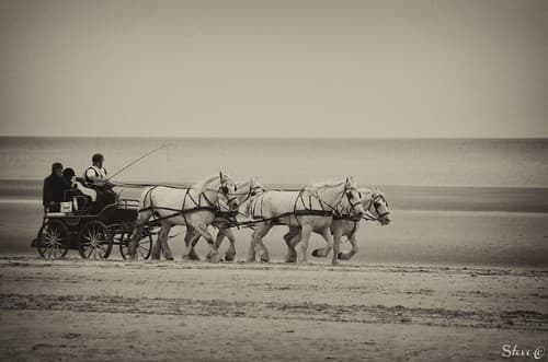 Au temps d'autrefois... - Steve.© -