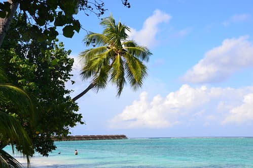 meeru island resort, maldives