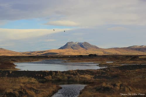 Sur la route, Islande (7)