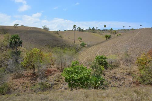 Pulau Rinca landscape (Flores, Indonesia 2016)