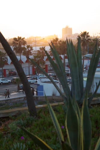 Casablanca