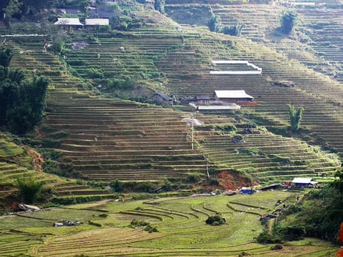 Vietnam 2016 L 1537 (2)