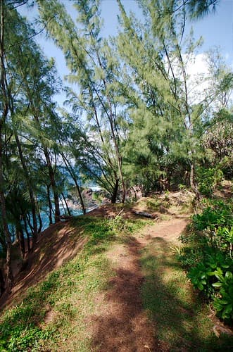Nature Réunion