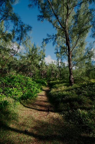 Nature Réunion