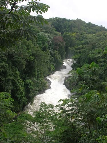 Kwa Falls and the Cross River State rainforest