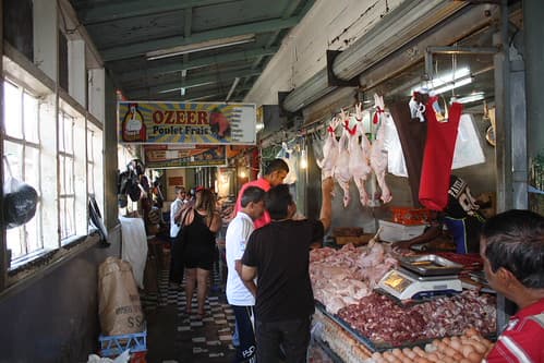 IMG_9069/Ile Maurice/Port Louis/Great Central Market/Poultry section