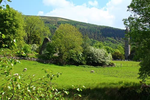 Glendalough - site monastique 35