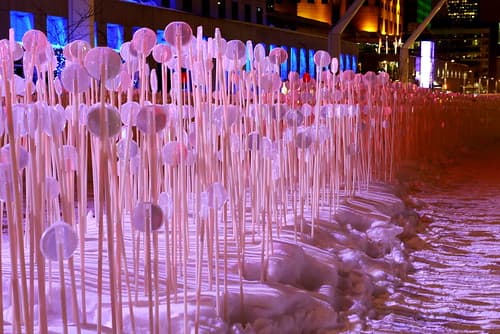 Kanva, en collaboration avec Udo Design, Côté Jardin, Patrick Watson, Boris Dempsey et Pierre Fournier, Entre les rangs, 2013