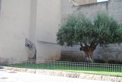 Montpellier