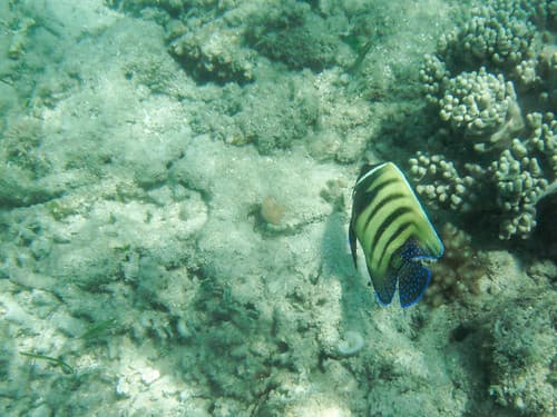 DSCF7330