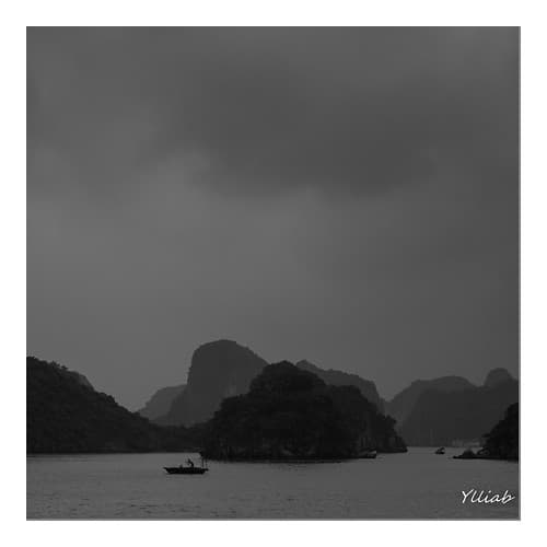Le Pêcheur - Baie d' Halong - Vietnam