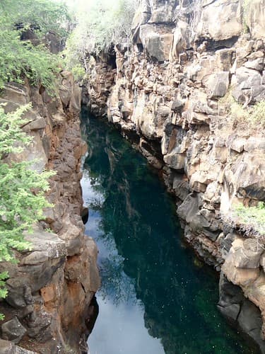 Fissure de lave - Santa Cruz, Galapagos