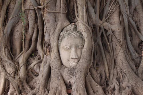 Ayutthaya